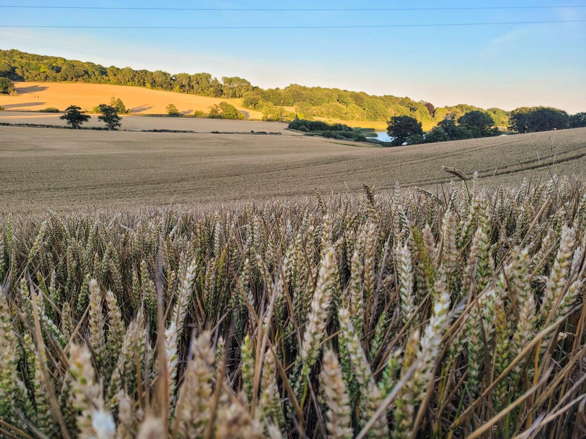 Hayfield Haven-Uk40691 Villa Crowhurst  Bagian luar foto
