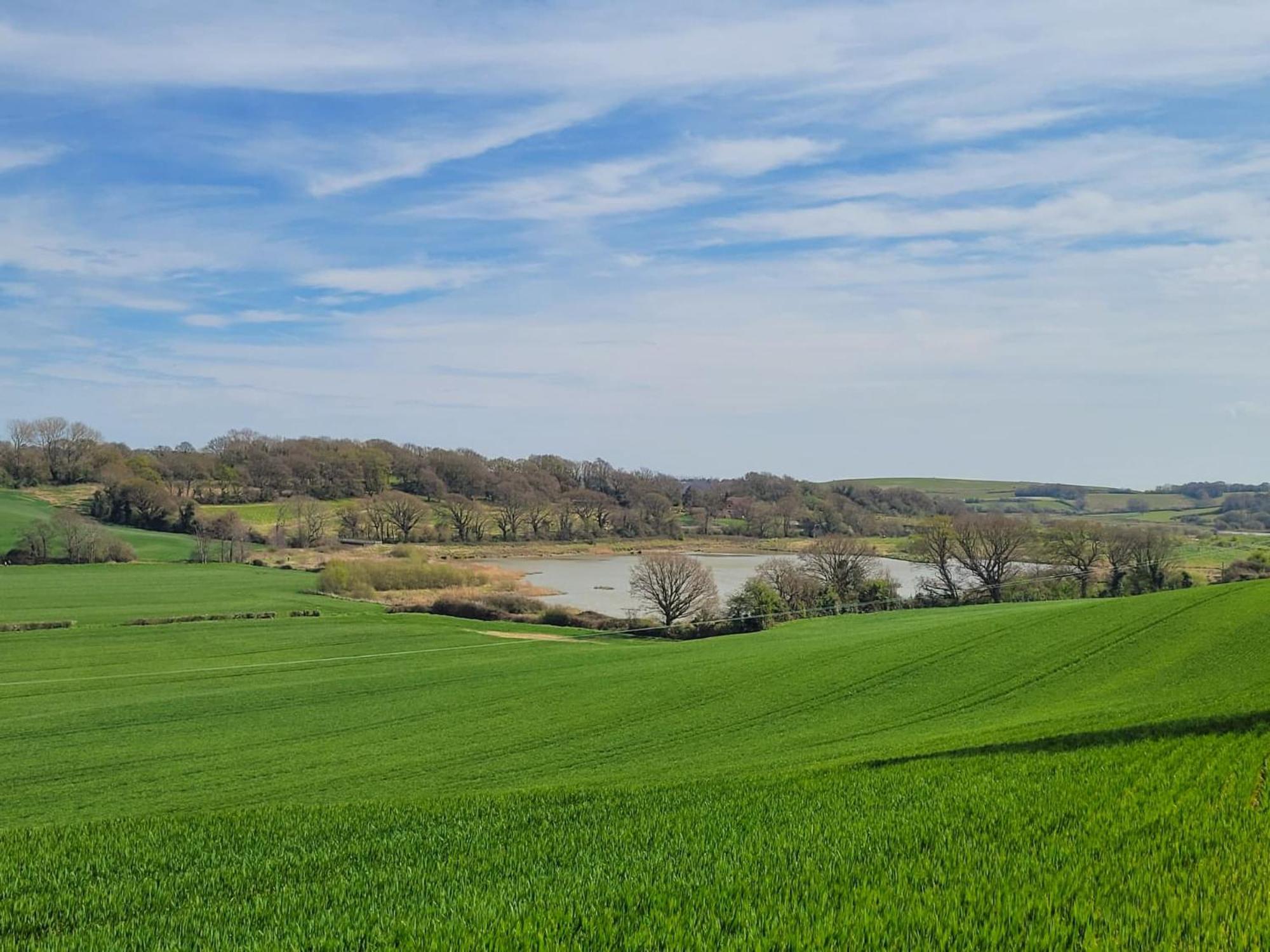 Hayfield Haven-Uk40691 Villa Crowhurst  Bagian luar foto